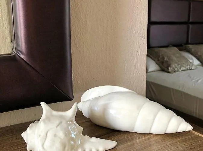 Lemar 招待所 萨尔蒂